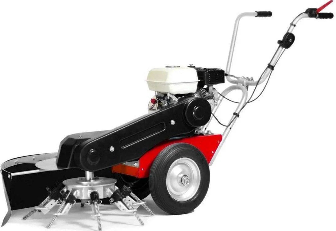 4F Limpar Wildkrautbürste Wildkrautbürste Taifun GP 160 OHV