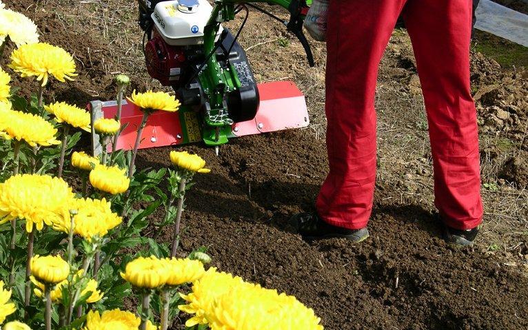 Agria Mehrzweck-Motorhacke 0100-R - Ausstellungsgerät - Baujahr 2023