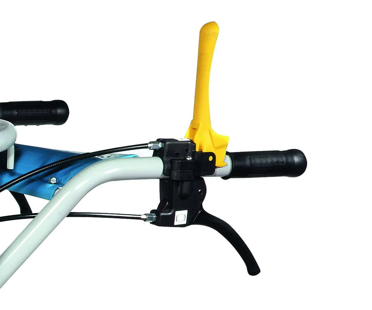 Bertolini Raupentransporter BTR 340 K 650