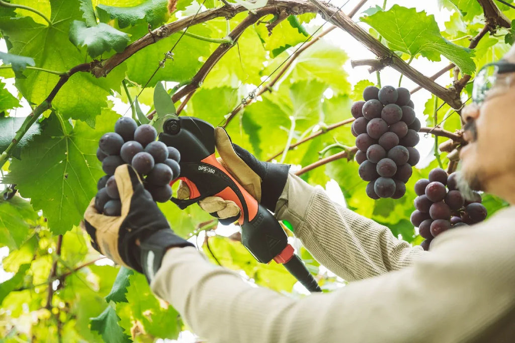 ECHO Akku-Rebschere DPS-350 -inkl. Akku und Ladegerät