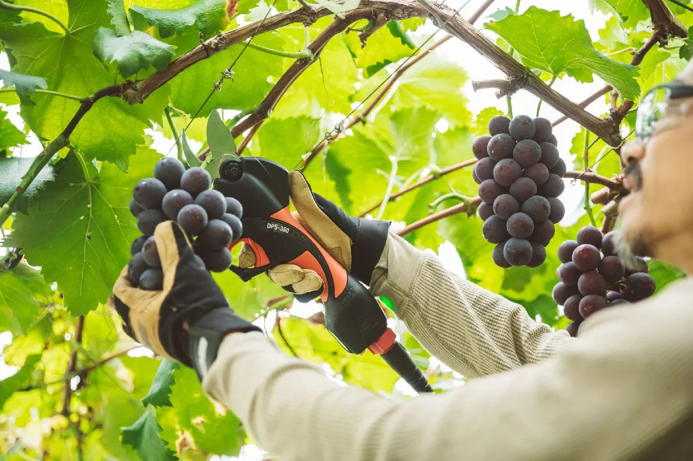 ECHO Akku-Rebschere DPS-350 -inkl. Akku und Ladegerät