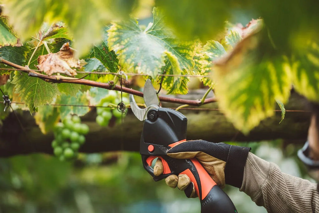 ECHO Akku-Rebschere DPS-350 -inkl. Akku und Ladegerät